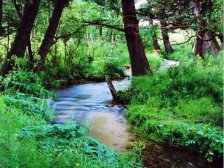 红山国家森林公园