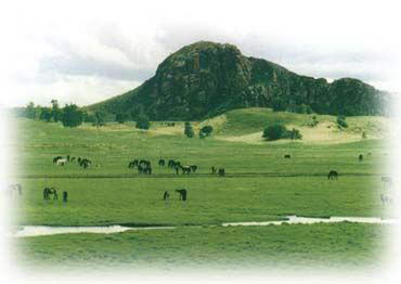 赤峰市乌兰布统