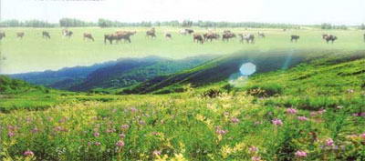 巴彦花水上游乐园