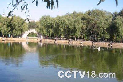 南运河带状公园