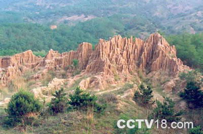 骆驼山海滨森林公园