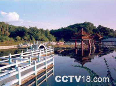 二龙山森林公园