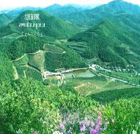 三兹和休闲农庄