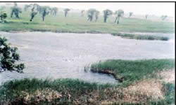 大麦科湿地自然保护区