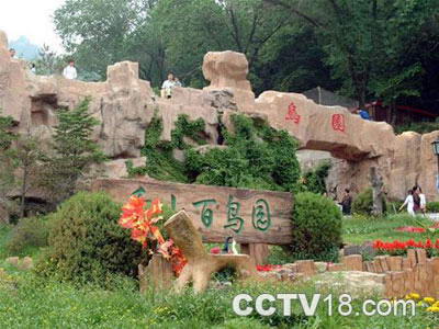 百鸟园景区