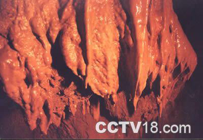 松山仙洞风景区