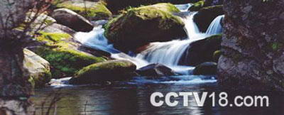 三块石国家森林公园