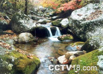 猴石森林公园位