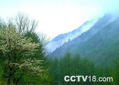 肖家沟天然林自然保护区