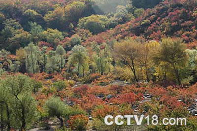 努鲁尔虎山自然保护区