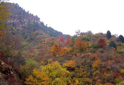 一面坡国家森林公园