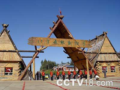 北方森林动物园