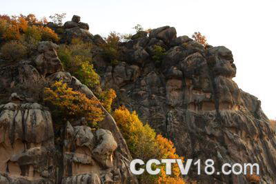 横头山国家森林公园