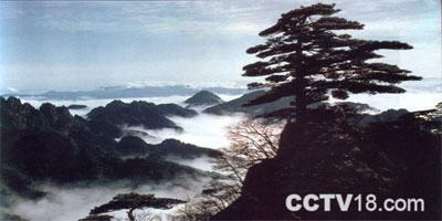 梅花山自然保护区