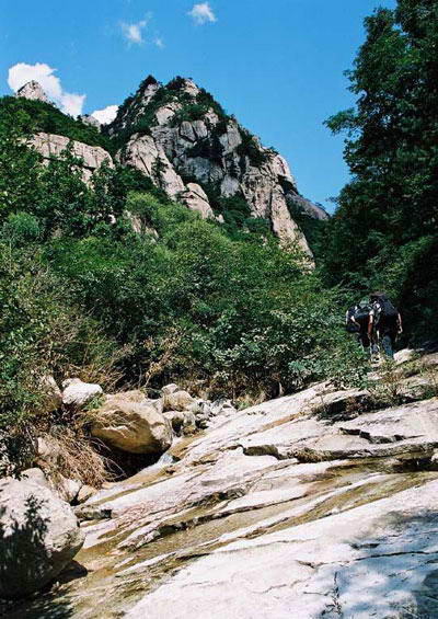 紫云山自然保护区