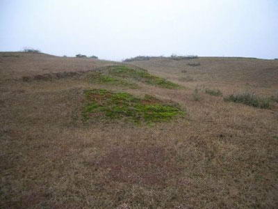 樟树筑卫城遗址