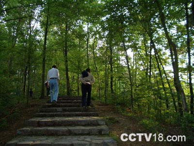 云碧峰森林公园