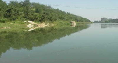 卧龙山庄生态旅游园