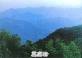 黑麋峰森林公园