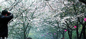 湖南省森林植物园