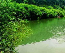 云峰湖生态公园