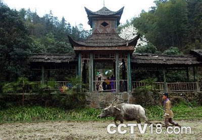 株洲秦人村景区