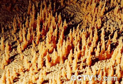 酒埠江国家地质公园