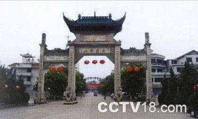 紫金山森林公园