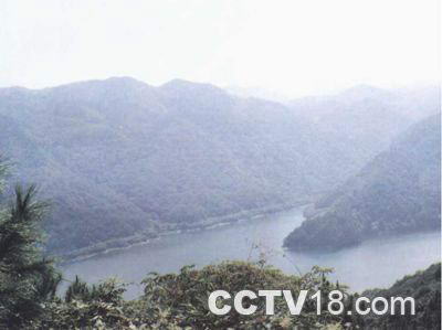 桃花山森林公园