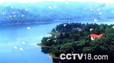 花岩溪国家森林公园