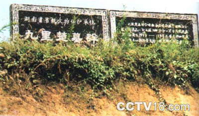 九里楚墓群