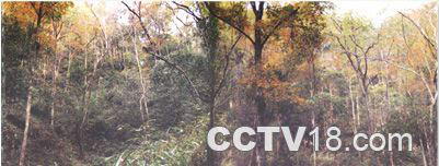 六步溪自然保护区