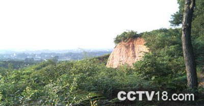 龙虎山森林公园