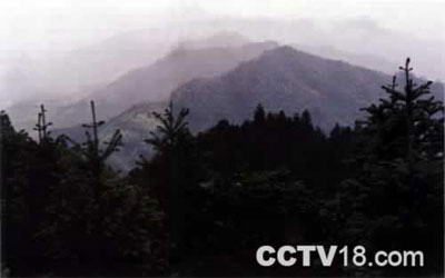 天鹅山国家森林公园