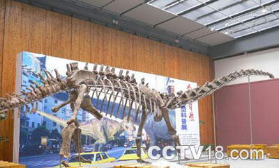 井研马门溪恐龙