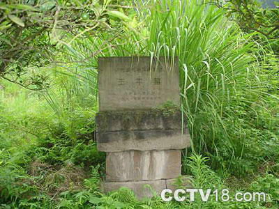 蜀汉大将王平之墓