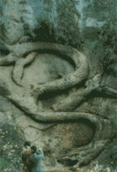 江口、顺河汉崖墓