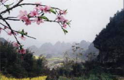 筠连古楼山景区