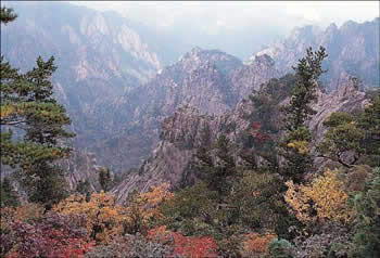 龙抱山自然风景区