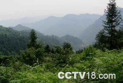 观宝山森林公园