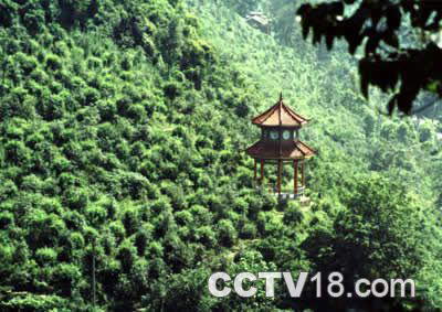 唐家大山森林公园