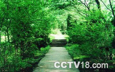 雷音铺省级森林公园