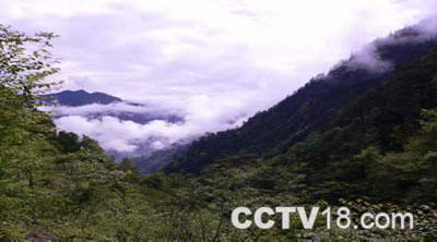 蜂桶寨自然保护区