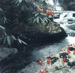 雅安天河风景名胜区