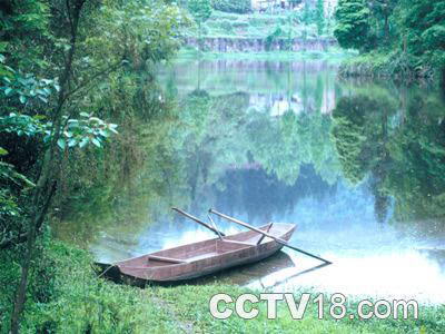 周公山森林公园