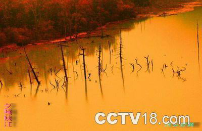 贡嘎山南坡自然风景区