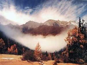 白羊自然保护区