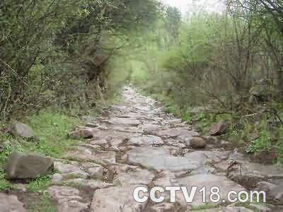 茶马古道的中心