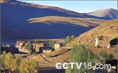 雅江庆大沟森林公园