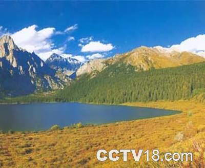 干因戈硫磺蒸气沙坑浴